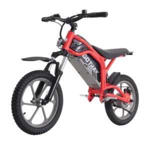 fitz16 electric dirt bike for kids